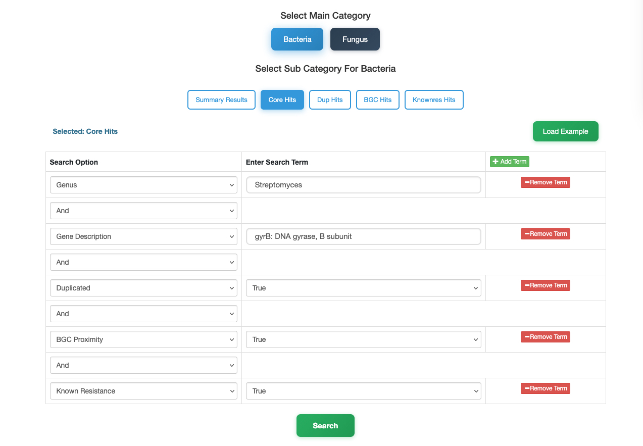 Case Study 1 Search Input