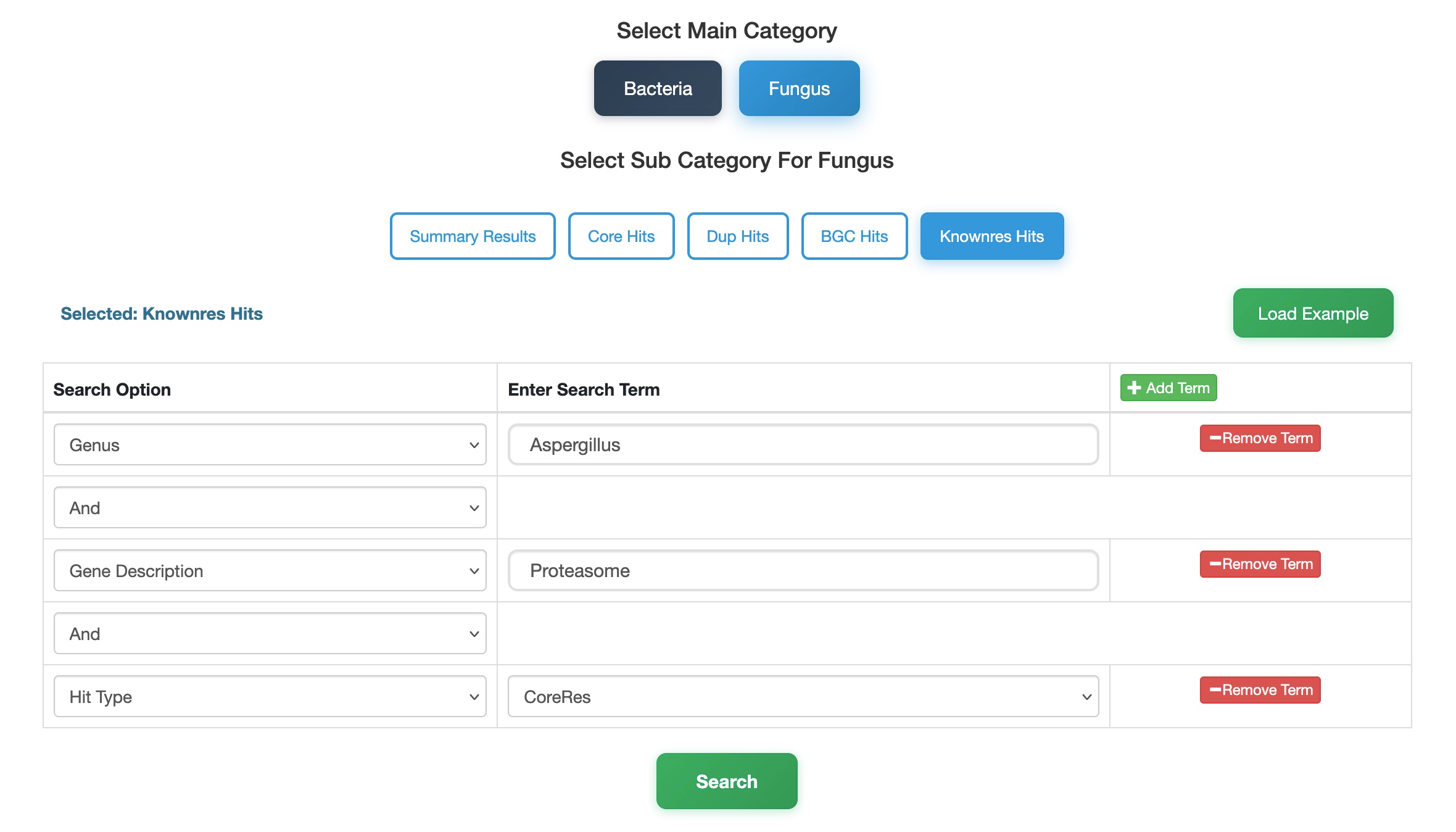 Case Study 3 Search Input