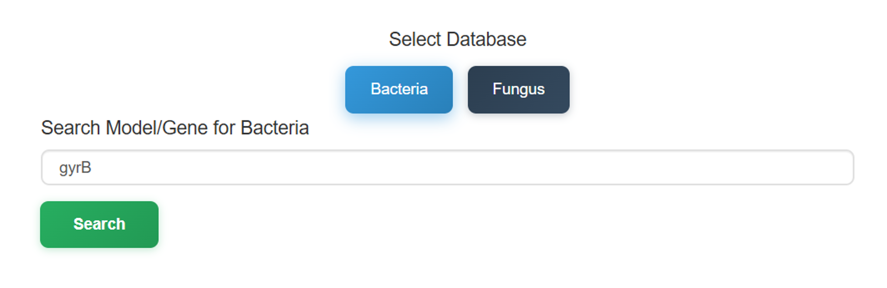 Model Oriented Search Input